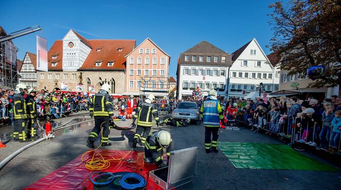 Unter Beifall zeigten Lebensretter verschiedener Organisationen auf dem Reutlinger Marktplatz ihr Können. FOTOS: TRINKHAUS