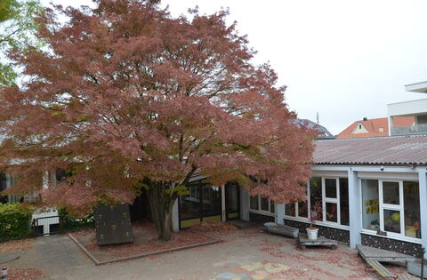 Neubau des Kindergartens St. Josef in Pfullingen geplant - Pfullingen