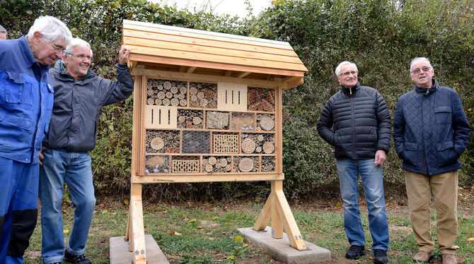 Das Ergebnis vieler Stunden Arbeit: Die Männerwerkstatt Rommelsbach hat drei Wildbienenhotels gebaut. Heute ist das erste auf de