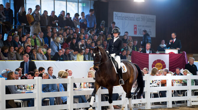 Für 65 000 Euro wechselte der Wallach Un Fiero bei der Reitpferdeauktion des Pferdezuchtverbands  in Marbach den  Besitzer. Er w