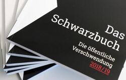 "Schwarzbuch" des Bundes der Steuerzahler