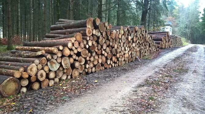 Holz in Gammertingen.  FOTO: FORST