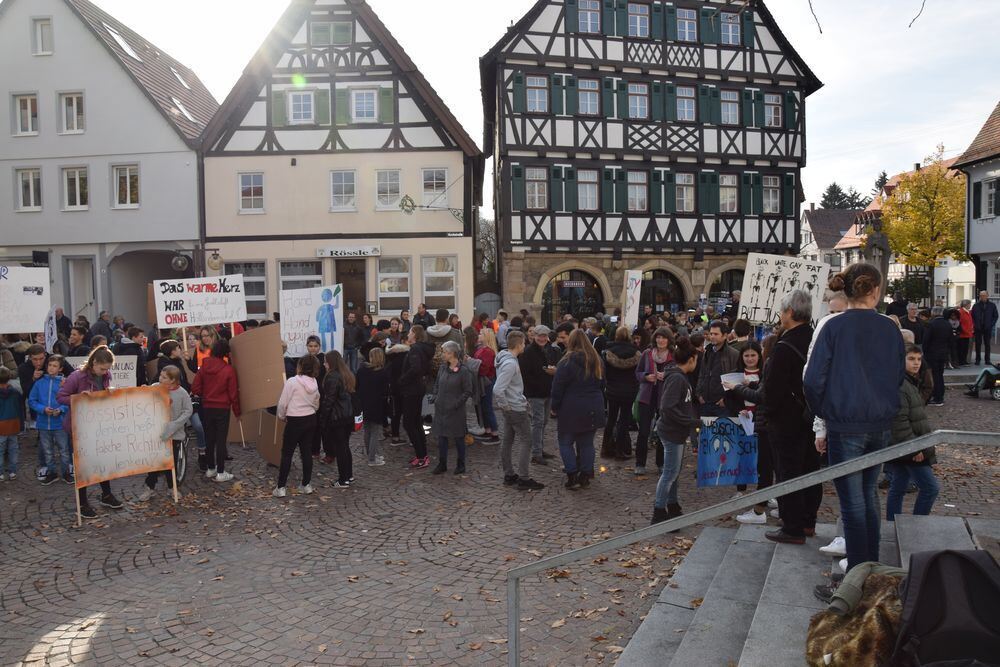demo_gegen_rassismus_pfullingen_2018_schoebel_1