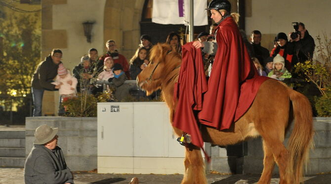 Pferd Sida mit ihrer Besitzerin Urte Biallas beim Martinsritt.  FOTO: NIETHAMMER
