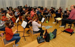 Im Endspurt: Das Kammerorchester Metzingen probt im Pavillon der Musikschule unter Stammdirigent Oliver Bensch.  FOTO: NIETHAMME