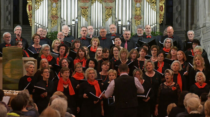 »Oh happy day«: Der Chor & More der Mössinger Chorgemeinschaft trug in der Peter- und Paulskirche Gospel vor.  FOTO: MEYER