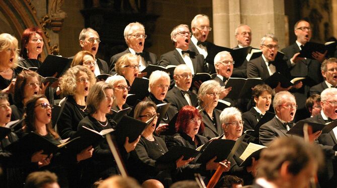 Begeisterung für den Stimmklang: Der Philharmonia Chor in einer Aufführung 2016 in der Marienkirche.  FOTO: KNAUER