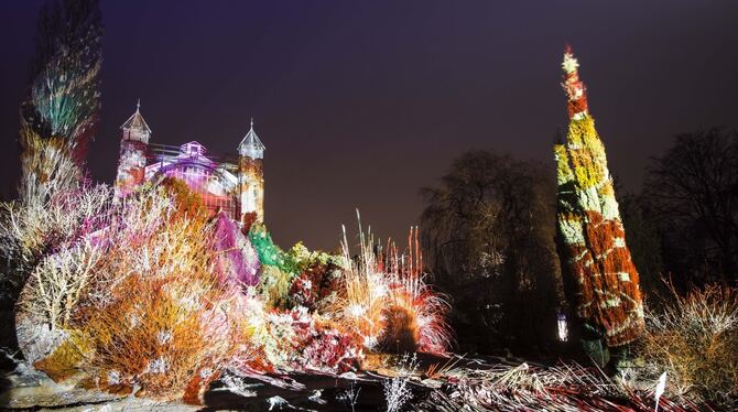 Ganz schön bunt: der »Christmas Garden« in der Wilhelma. FOTO: JONAS WERNER Ganz schön bunt: der »Christmas Garden« in der Wilhelma. FOTO: JONAS WERNER