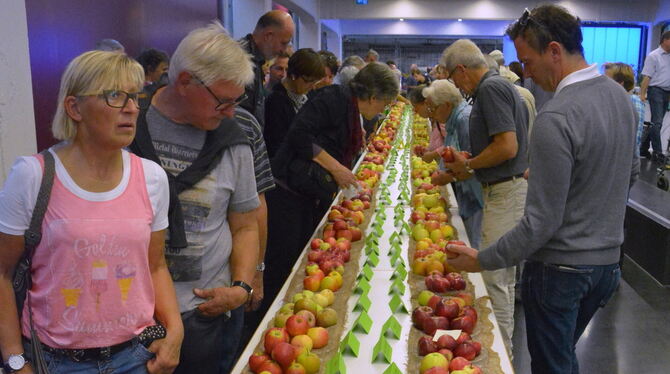 Sortenvielfalt  beim gut besuchten und beliebten Apfelfest des Netzwerks Streuobst Mössingen. FOTO: MEYER