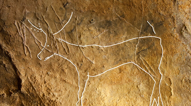 Höhlenzeichnung (nachgezeichnet) aus der Eiszeit in Frankreich, entdeckt von Tübinger Archäologen.  FOTO: CHRISTIAN HOYER