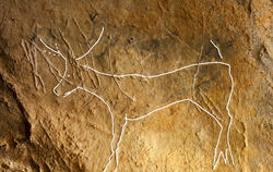 Höhlenzeichnung (nachgezeichnet) aus der Eiszeit in Frankreich, entdeckt von Tübinger Archäologen.  FOTO: CHRISTIAN HOYER