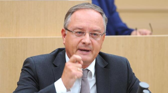 Andreas Stoch (SPD)