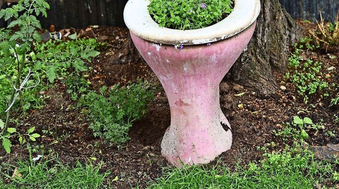 Auch das in diesem Fall nicht so stille Örtchen kann begrünt werden. Insgesamt sollen in der Landeshauptstadt künftig Begrünunge Auch das in diesem Fall nicht so stille Örtchen kann begrünt werden. Insgesamt sollen in der Landeshauptstadt künftig Begrünunge