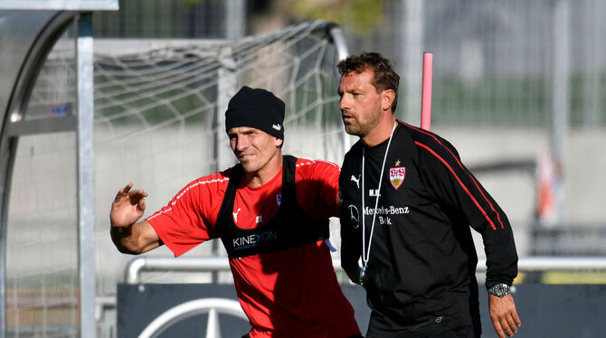 Stuttgarts Cheftrainer Markus Weinzierl (rechts) wünscht seinem Stürmer Mario Gomez wieder mehr Unterstützung in der Offensive.