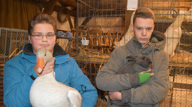 Stolze Jungzüchter: Johannes Köper (Münsingen) mit einer »blauen fränkischen Landgans« und Tom Roggow (Hülben) mit einem Kaninch