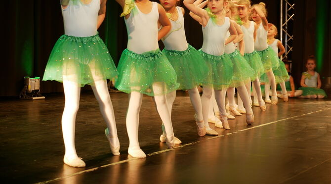 Alle Jahrgänge auf der Tanzfläche: 180 Tänzerinnen im Alter zwischen 3 und 75 Jahren zeigten ihr Können.  FOTO: LEISTER