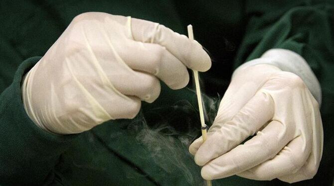 Arbeiten am Erbgut Arbeiten am Erbgut