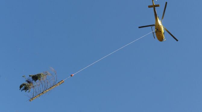 Ein Novum in der Region: Im kommenden Herbst soll ein Hubschrauber Holz aus der Honauer Steige an den Haken nehmen. Nur so ist d