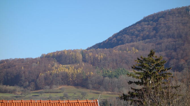 Der Albwald bei Glems. Gelb leuchten auch jetzt noch die Lärchen. FOTO: PFISTERER