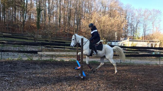Leni Zutavern mit ihrer 13-jährigen Araberstute Naysouna beim Springen. FOTO: ZMS Leni Zutavern mit ihrer 13-jährigen Araberstute Naysouna beim Springen. FOTO: ZMS