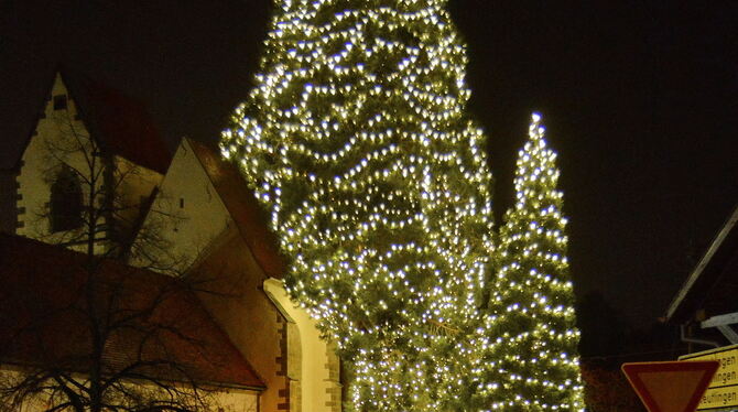 Der Bronnweiler Weihnachtsbaum ist ein echter Hingucker. FOTO: NIETHAMMER