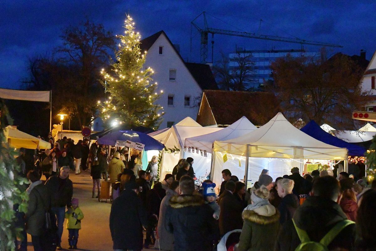 wmarkt-gomaringen_meyert_01-12-2018_19