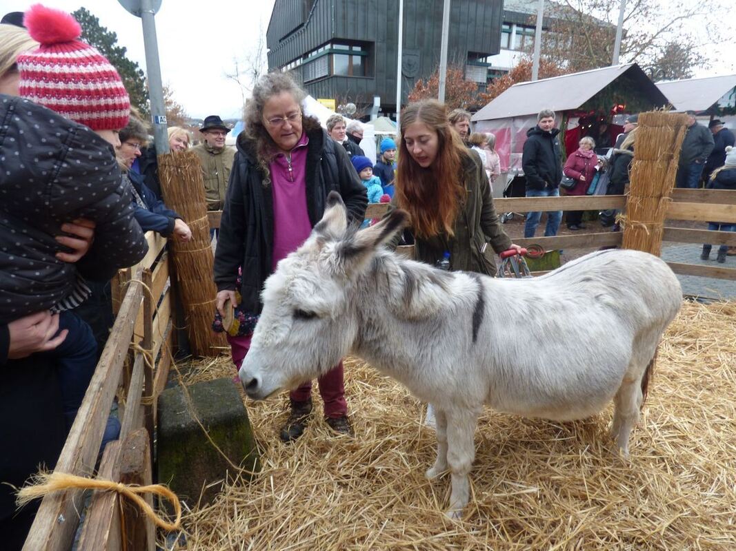 wmarkt-pliezhausen-wannweil_boerner_02-12-2018_22
