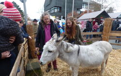 Jacky der Esel war der Liebling auf dem Weihnachtsmarkt in Pliezhausen. Nicht nur bei den Kindern. Er ließ sich von allen gerne 