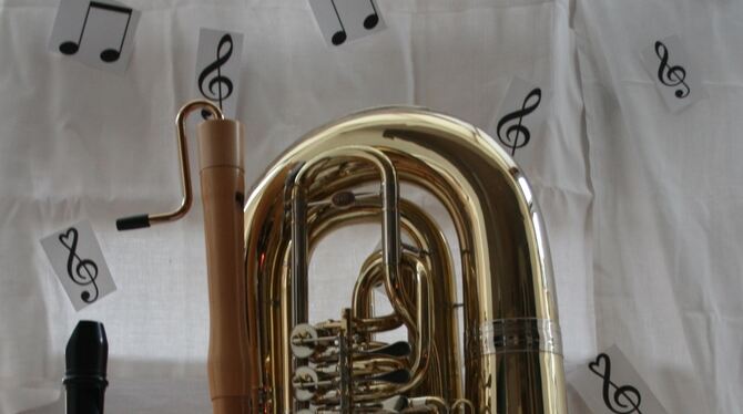 Von der hohen Sopranflöte bis zur tiefen Tuba: Lisas Instrumente.  FOTO: ZMS