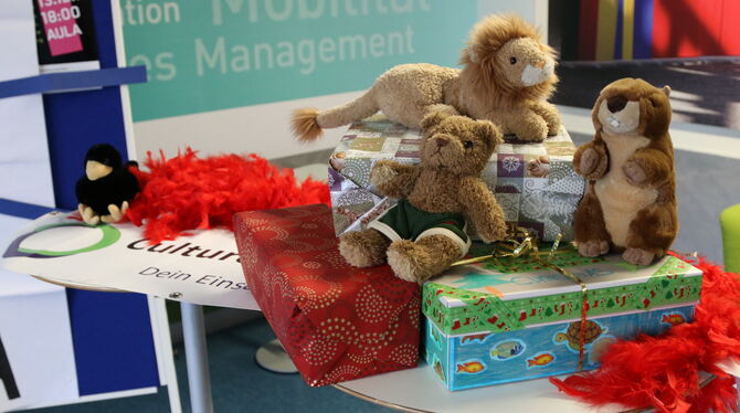 Gefüllte Kartons und flauschige Spielkameraden: Die Geschenke erfreuen bedürftige Kinder in der Westukraine.