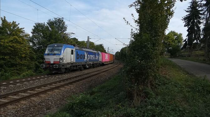 Insider wie Yannik halten Ausschau nach besonderen Zügen.  FOTO: ZMS