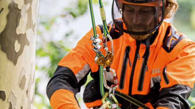Eine Akku-Kettensäge im Einsatz.