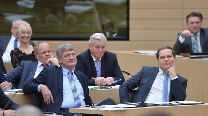 AfD-Fraktionschef Jörg Meuthen (vorne links) mit Mitgliederns seiner Fraktion im Landtag. Anton Baron (rechts) ist als Parlament