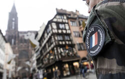 Zahllose Soldaten wie diesen haben die Reutlinger Georgenschüler in der Straßburger Innenstadt gesehen. FOTO: DPA