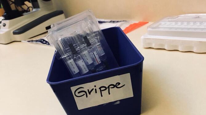 In kleinen Ampullen wird die Grippeimpfung ausgeliefert. FOTO: ZMS