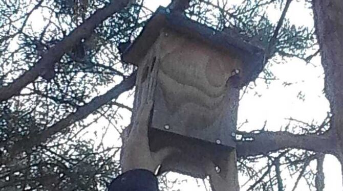 In seinen Nistkästen fand der Gartenclub der Minna-Specht-Gemeinschaftsschule Nester mit Eiern und ein totes Küken.  FOTOS: ZMS
