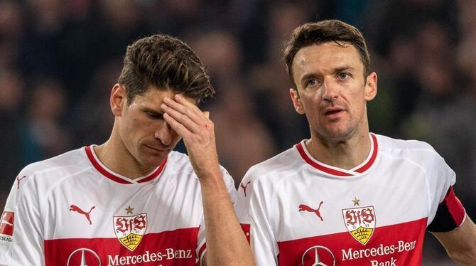 VfB-Profis VfB-Profis