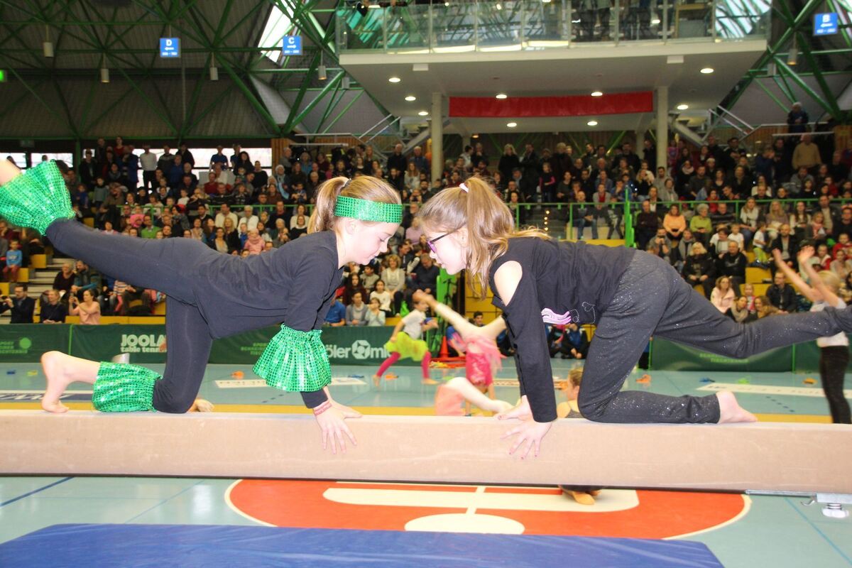 turner_vfl_pfullingen_jahresabschluss_2018_leippert_4