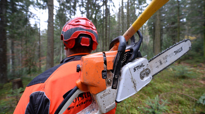 Der Holzeinschlag und -verkauf soll weiter über den Revierleiter vor Ort laufen.  FOTO: DPA