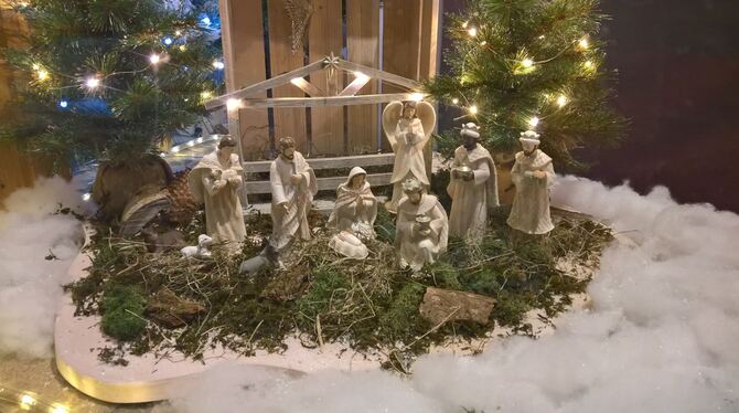 Eine von 40 Krippen in Kirchentellinsfurt: Weihnachtswunsch von vielen ist Schnee an Heiligabend. Die Besitzerin der Änderungssc