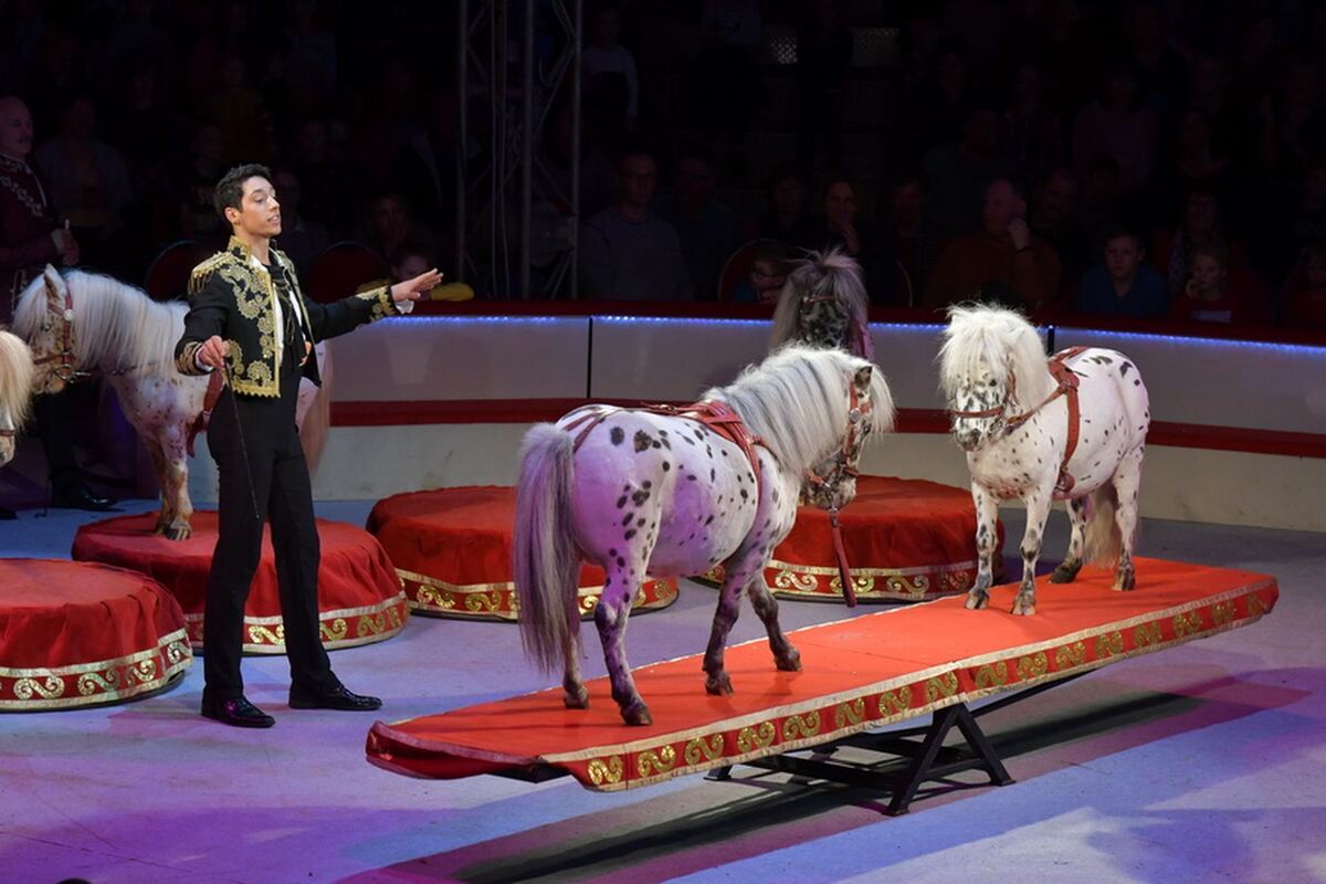 Weihnachtscircus_2018_6