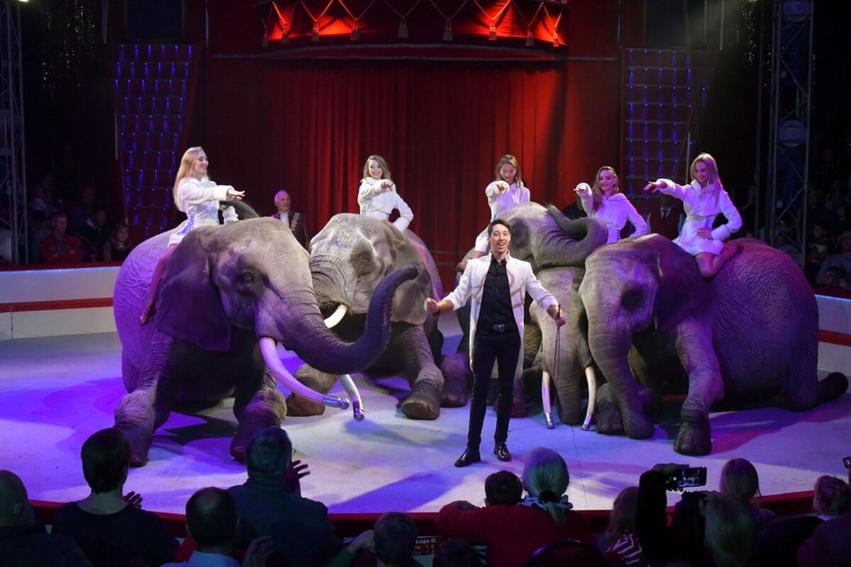 Weihnachtscircus_2018_19