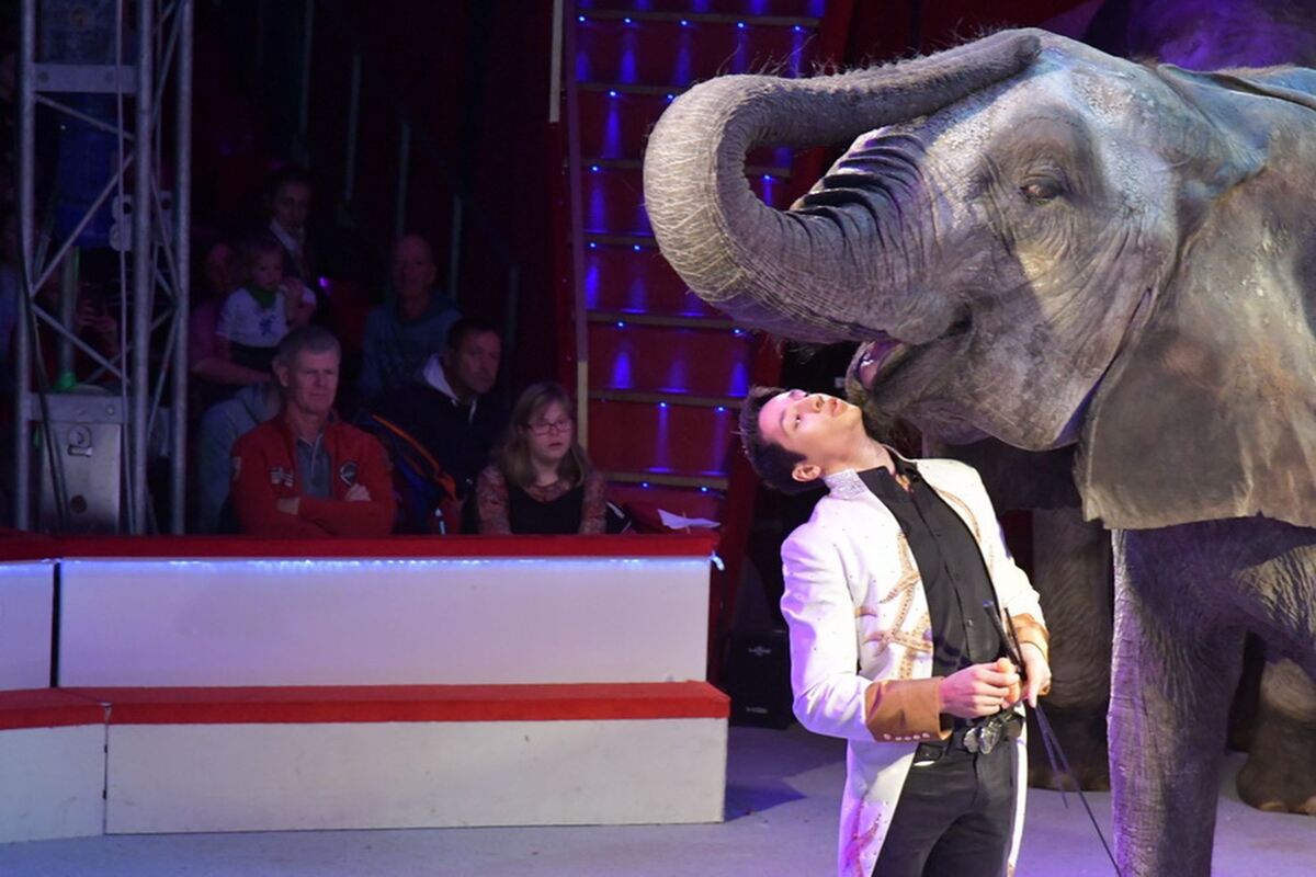 Weihnachtscircus_2018_20