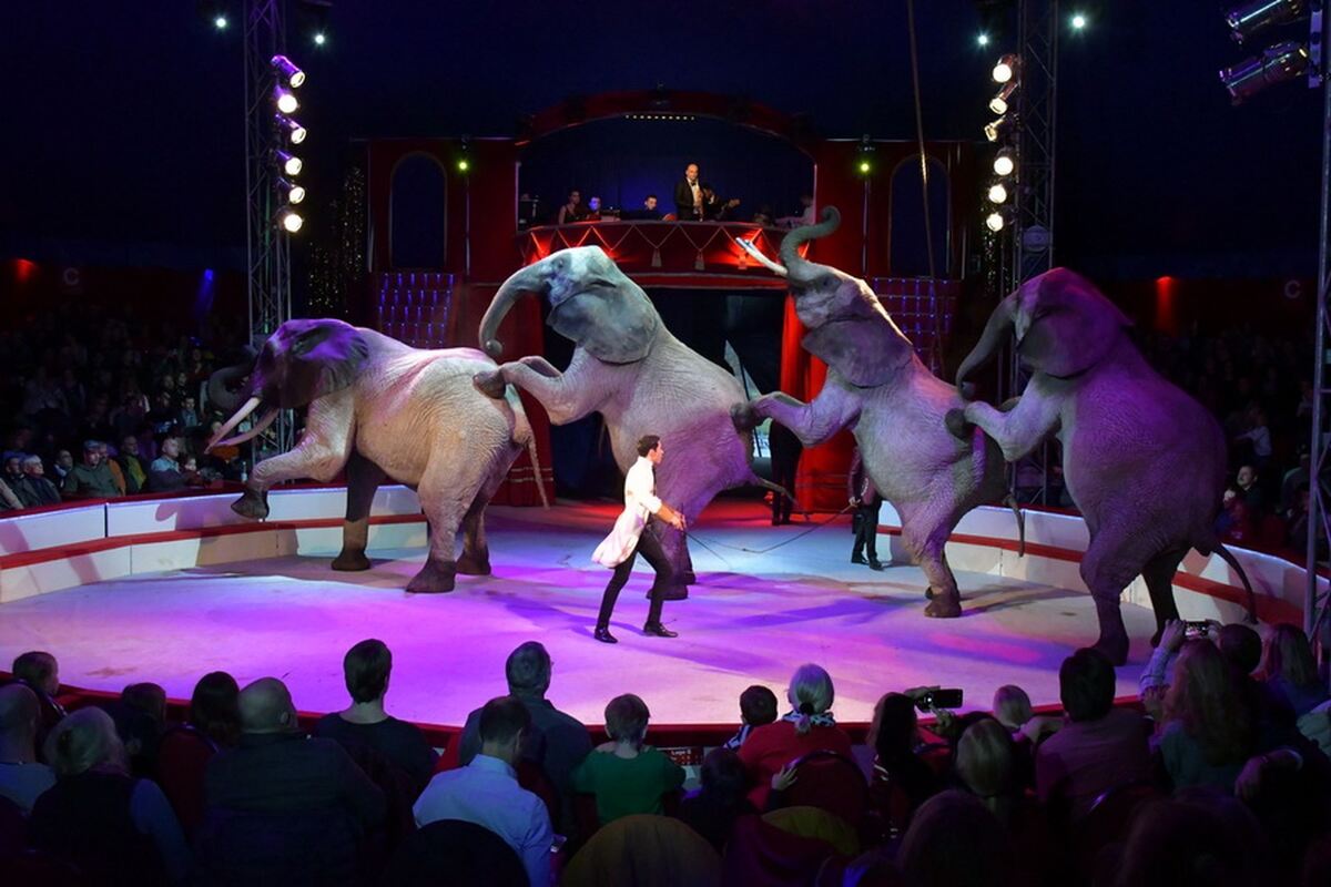 Weihnachtscircus_2018_21