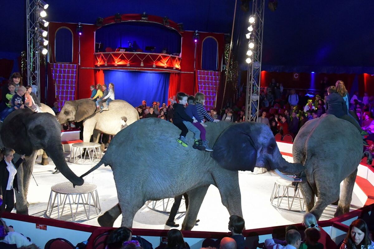 Weihnachtscircus_2018_23