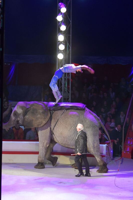 Weihnachtscircus_2018_30