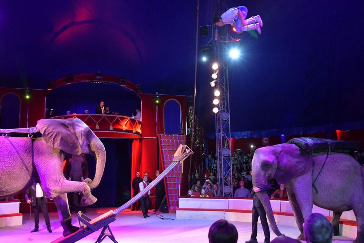 Weihnachtscircus_2018_32