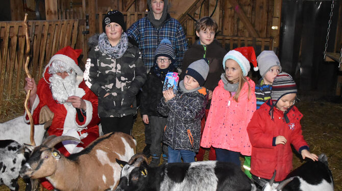 Waldweihnacht bei den Ziegen am Florian: Die Vierbeiner bekamen vor allem von den Kindern jede Menge Streicheleinheiten.  FOTO: