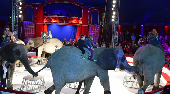 Ein Spaß für die Kinder: Sie durften in der Pause auf den Elefanten durch die Manege reiten.  FOTOS: MEYER