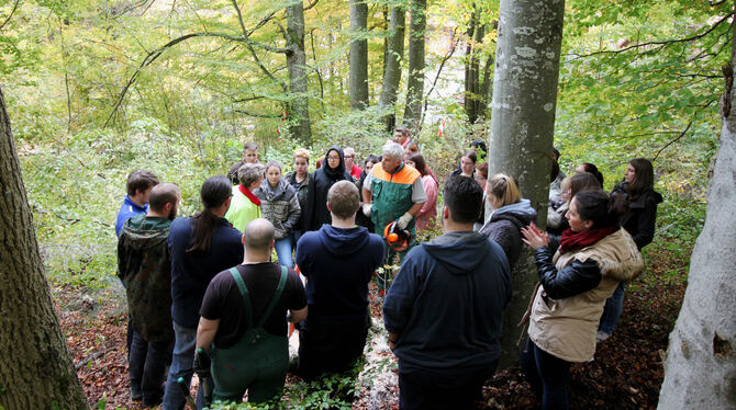 Direkter Draht zur Natur: Die angehenden Heilerziehungspfleger beim Waldunterricht. FOTO: DIAKONISCHES INSTITUT TRAIFELBERG